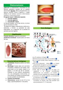  Hepatomonas: ¿Un Parásito Microscópico que Puede Desestabilizar ecosistemas Complejos?